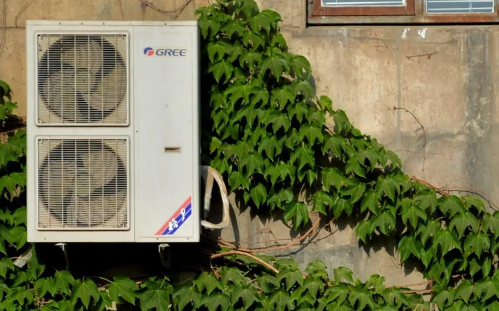 An outdoor unit mounted on a wall among ivy